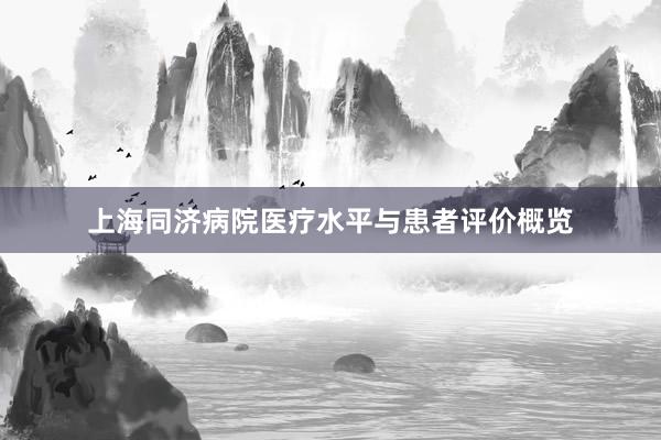 上海同济病院医疗水平与患者评价概览